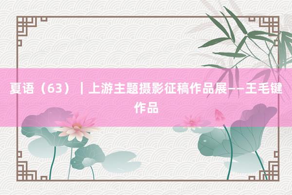 夏语（63）｜上游主题摄影征稿作品展——王毛键作品
