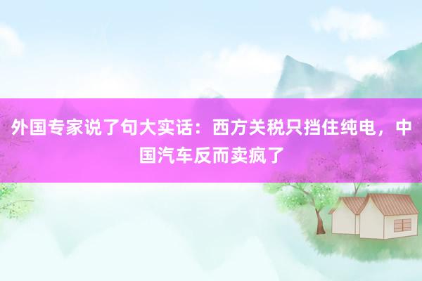 外国专家说了句大实话：西方关税只挡住纯电，中国汽车反而卖疯了