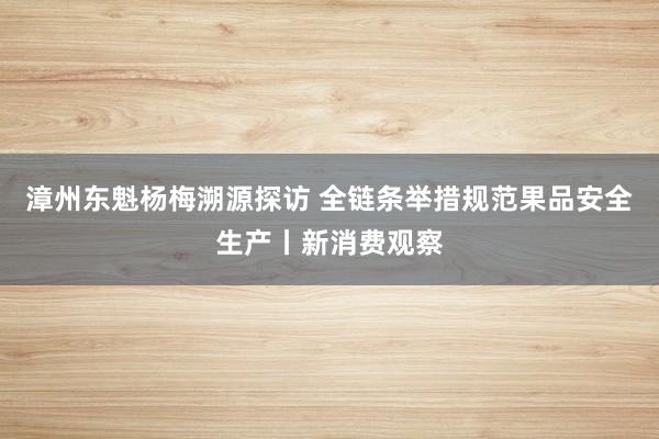 漳州东魁杨梅溯源探访 全链条举措规范果品安全生产丨新消费观察