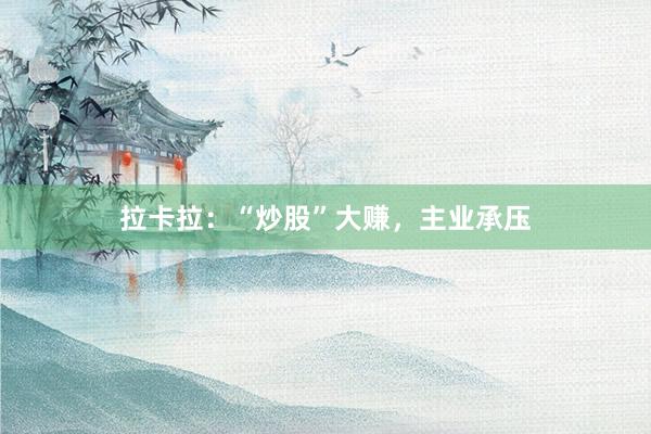 拉卡拉：“炒股”大赚，主业承压