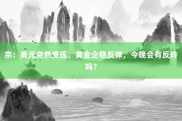 宗：美元突然受压，黄金企稳反弹，今晚会有反转吗？