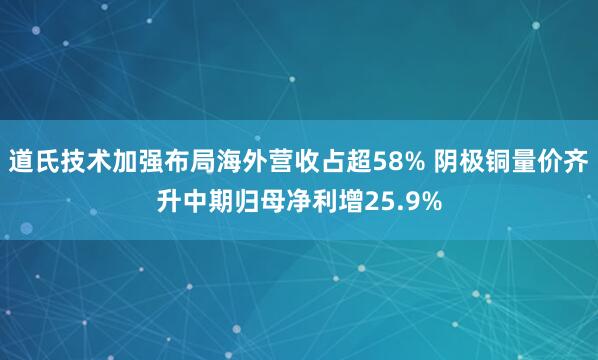 道氏技术加强布局海外营收占超58% 阴极铜量价齐升中期归母净利增25.9%