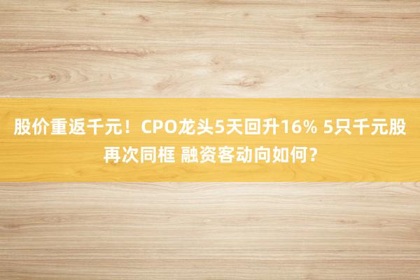 股价重返千元!CPO龙头5天回升16% 5只千元股再次同框 融资客动向如何?