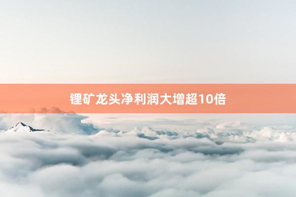 锂矿龙头净利润大增超10倍