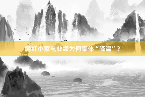 网红小家电业绩为何集体“降温”？