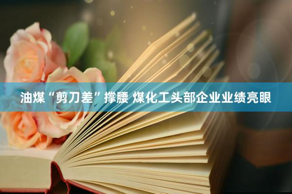 油煤“剪刀差”撑腰 煤化工头部企业业绩亮眼