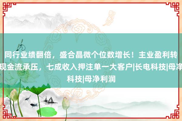 同行业绩翻倍，盛合晶微个位数增长！主业盈利转弱，现金流承压，七成收入押注单一大客户|长电科技|母净利润
