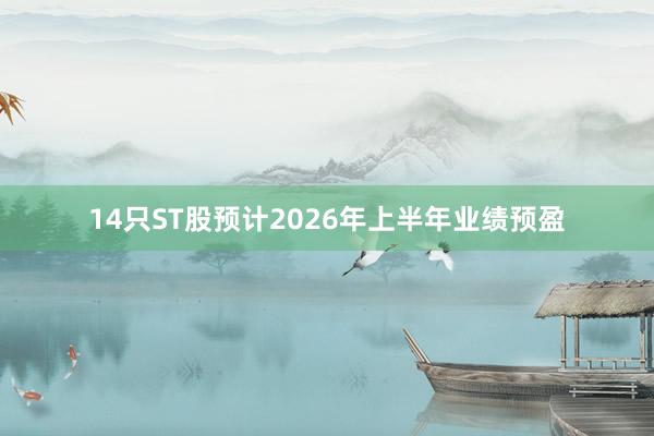 14只ST股预计2026年上半年业绩预盈