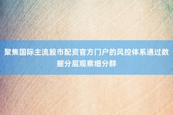 聚焦国际主流股市配资官方门户的风控体系通过数据分层观察细分群