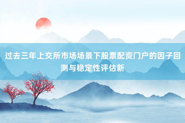过去三年上交所市场场景下股票配资门户的因子回测与稳定性评估新