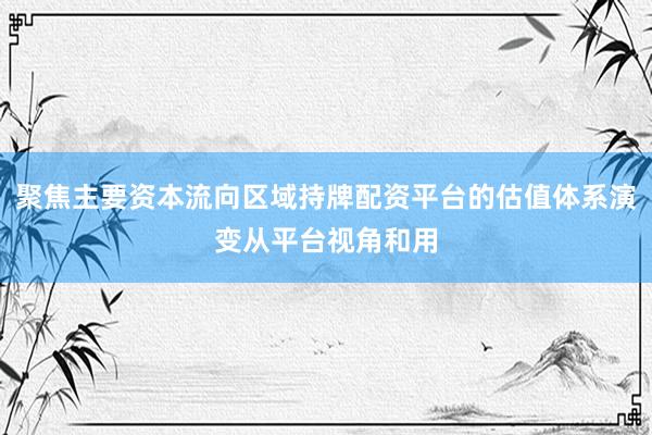聚焦主要资本流向区域持牌配资平台的估值体系演变从平台视角和用