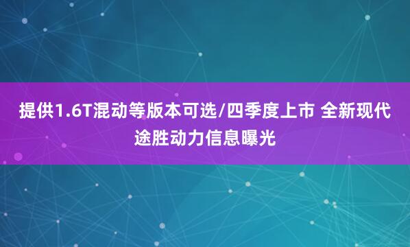 提供1.6T混动等版本可选/四季度上市 全新现代途胜动力信息曝光