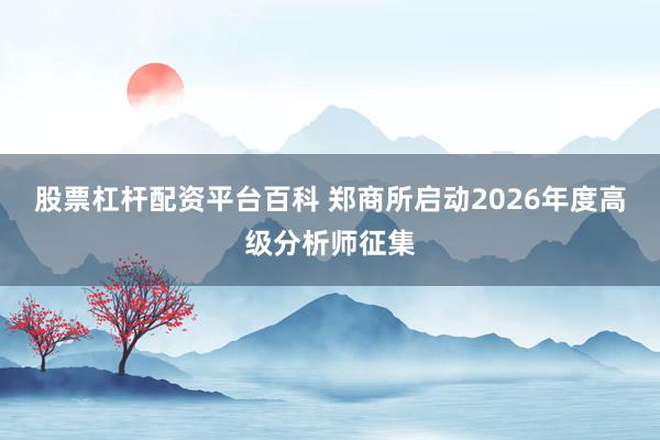 股票杠杆配资平台百科 郑商所启动2026年度高级分析师征集